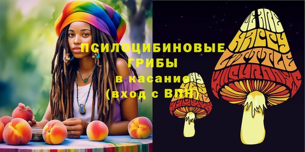 ешки Абинск