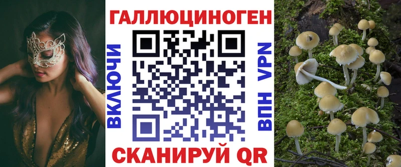 Псилоцибиновые грибы MAGIC MUSHROOMS  купить наркотик  блэк спрут вход  Абаза 